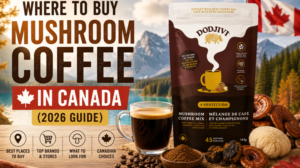 Where to Buy Mushroom Coffee in Canada (2026 Guide) featured image