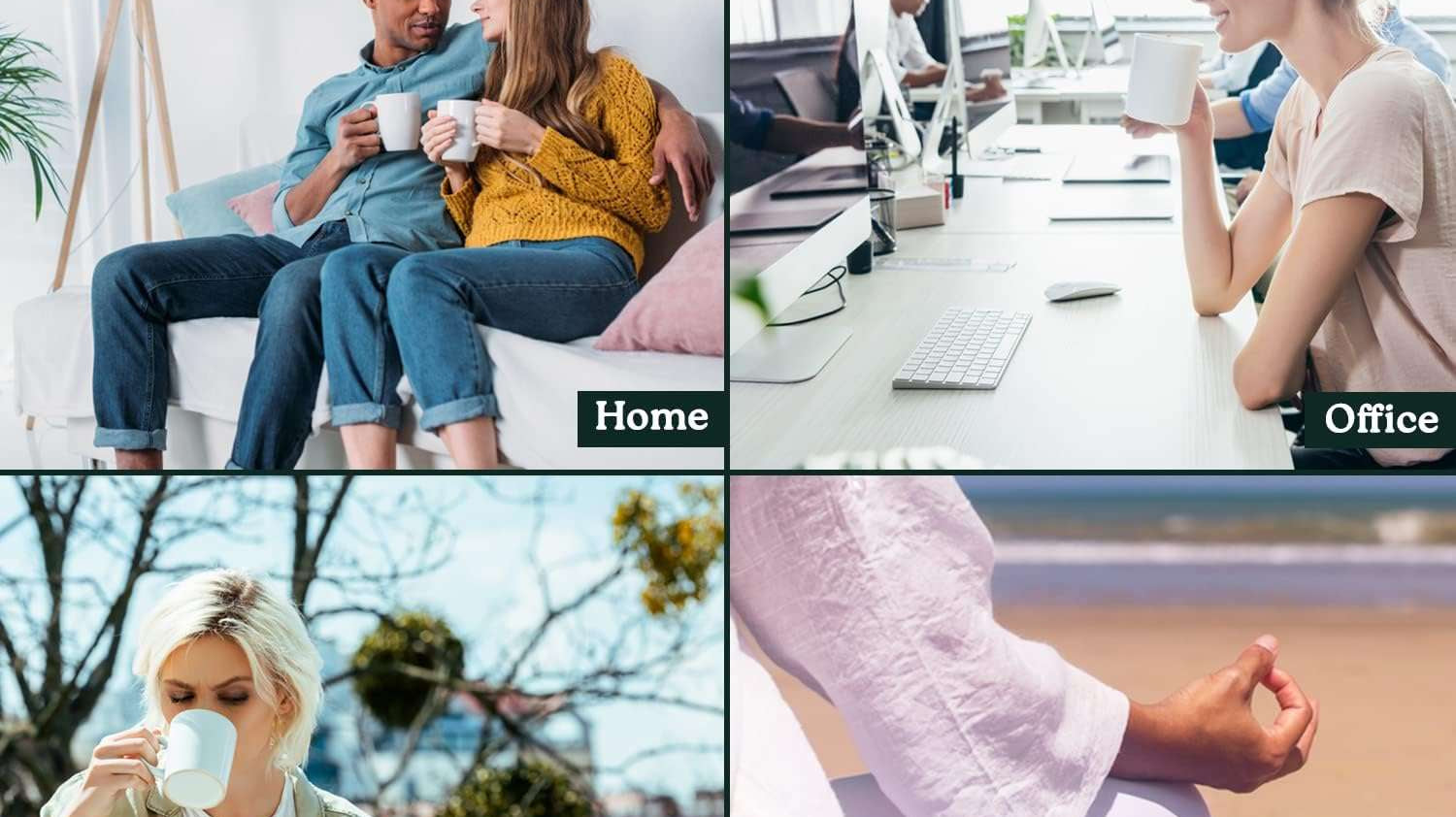 Unlocking Wellness: Mastering Your Daily Functional Mushroom Routine