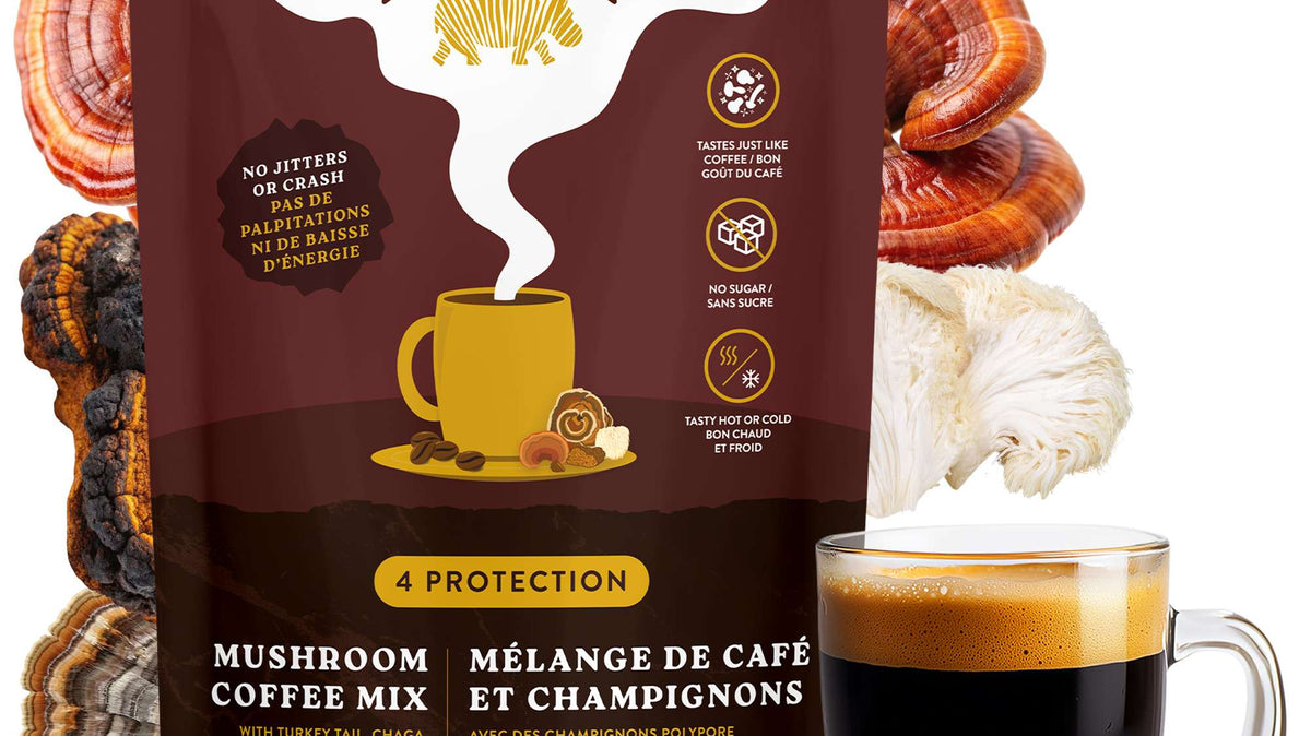 Dodjivi 4 Protection instant organic mushroom coffee pouch