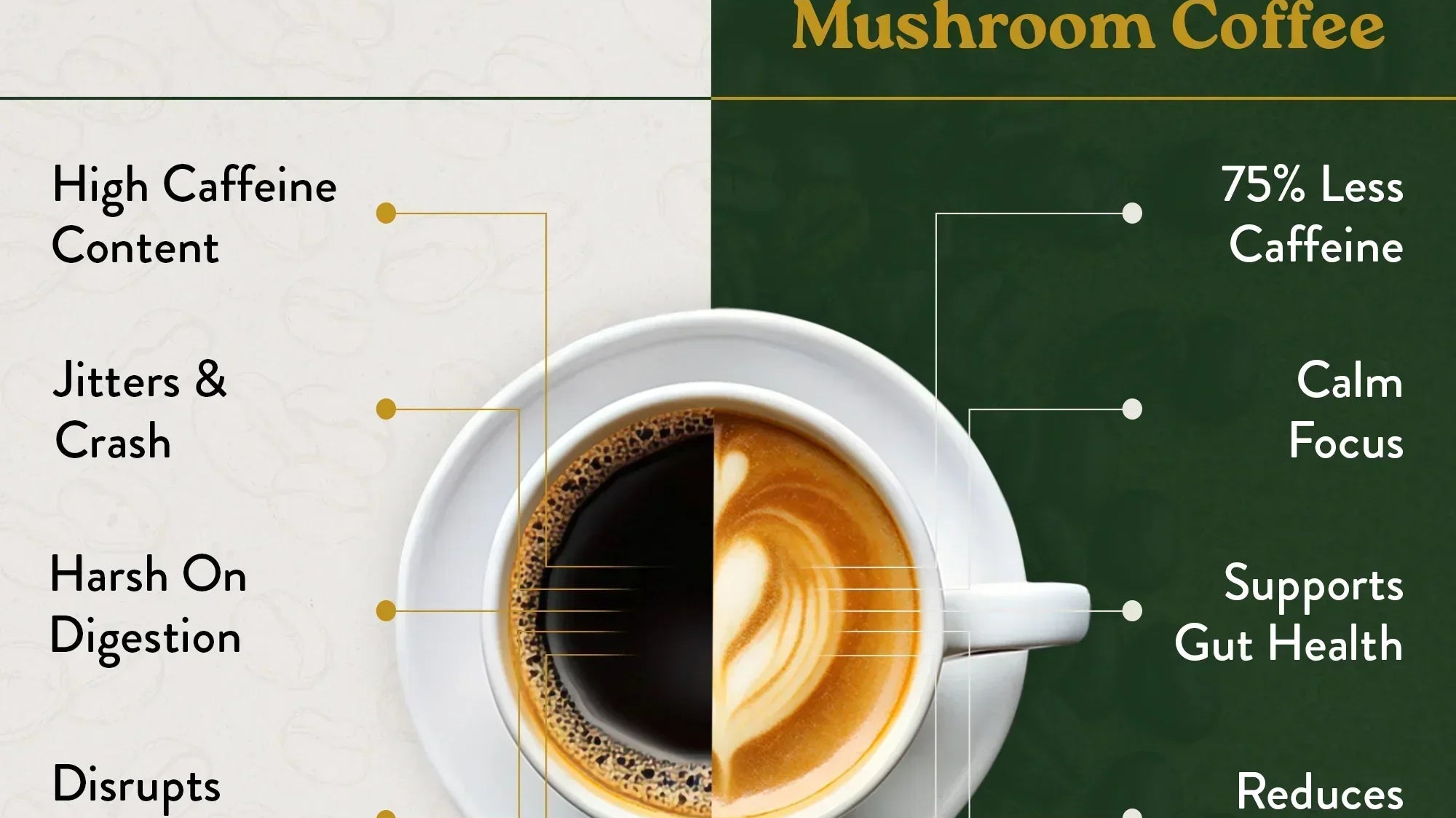 Dodjivi vs RYZE Mushroom Coffee: An Honest Comparison for Canadians