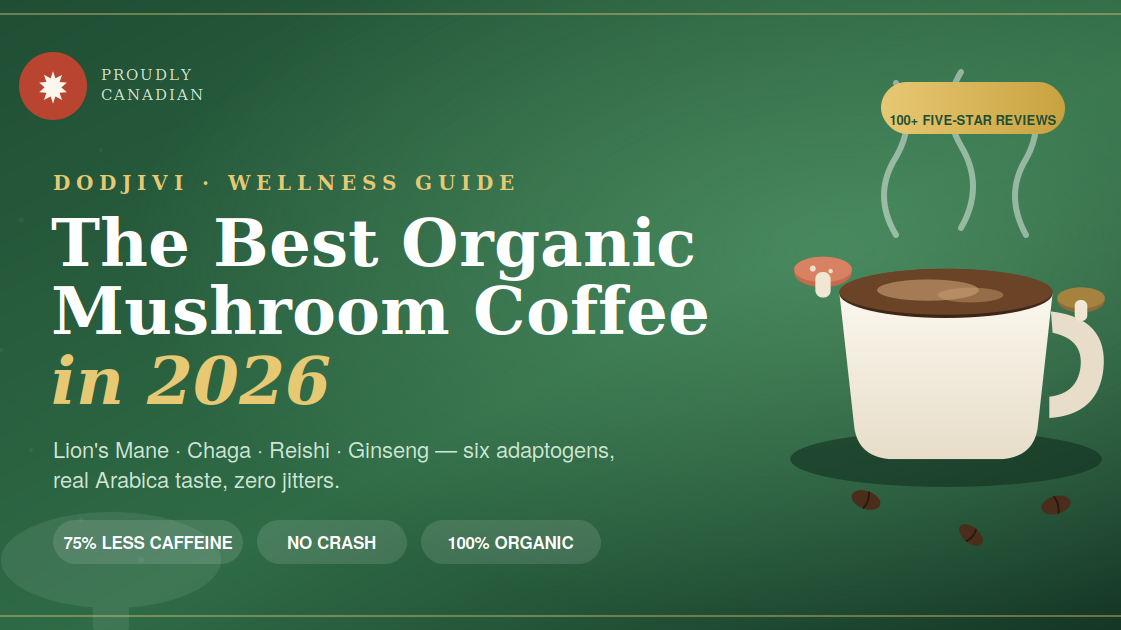 Best Organic Mushroom Coffee in 2026