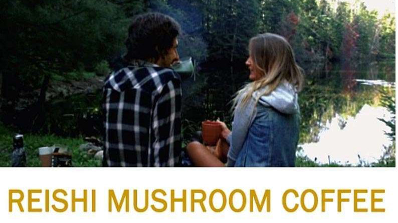 Experience Reishi Mushroom Coffee Superfood Blend with 7 Medicinal Herbs