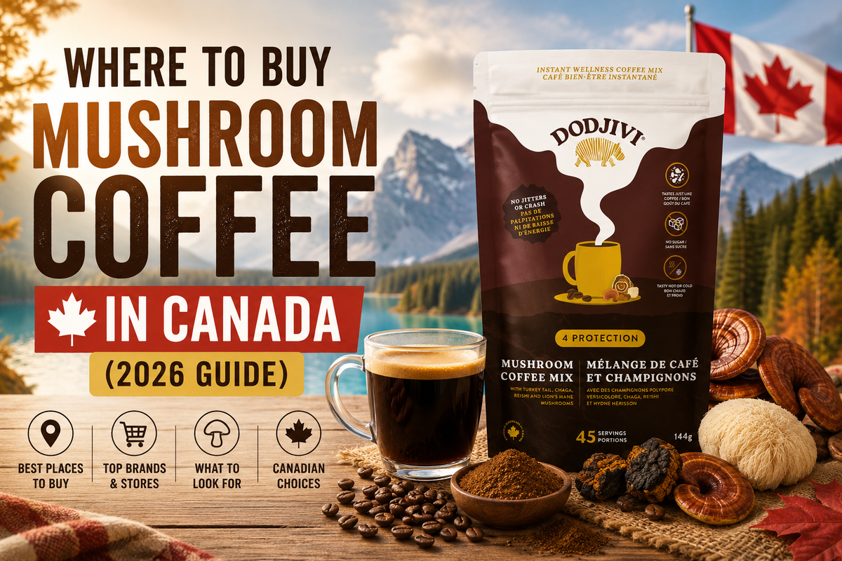 Where to Buy Mushroom Coffee in Canada (2026 Guide) featured image