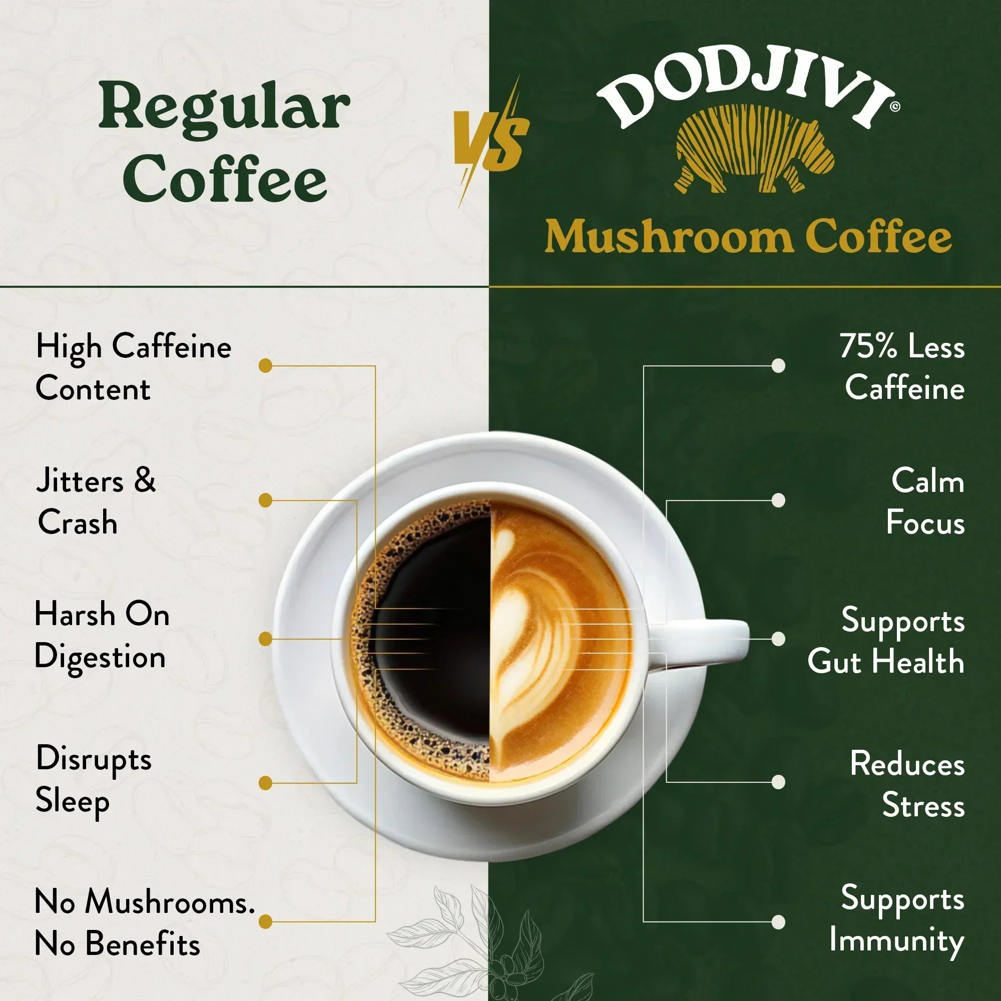 Dodjivi vs RYZE Mushroom Coffee: An Honest Comparison for Canadians