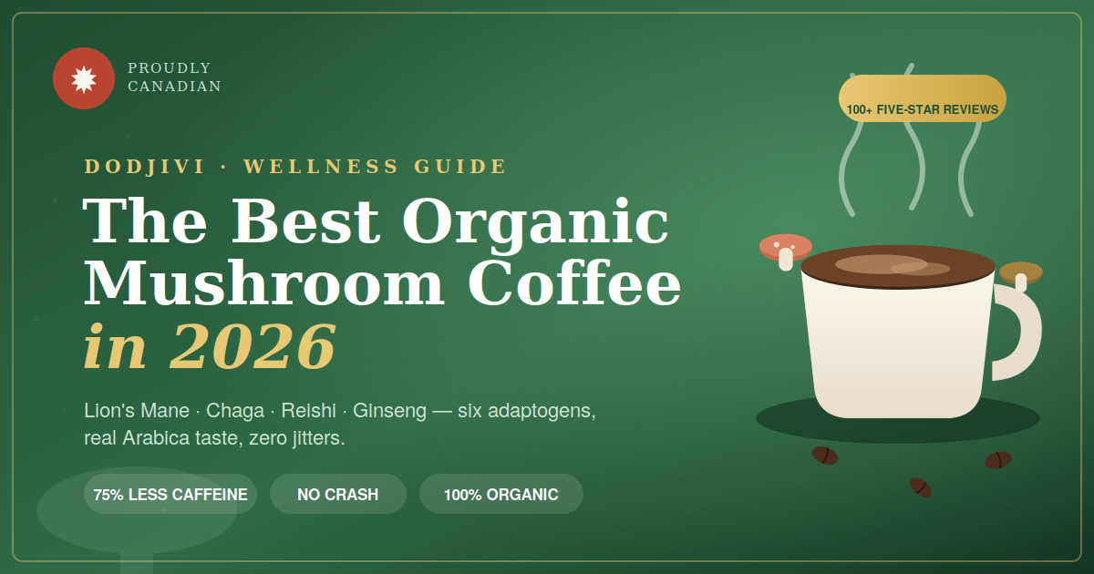 Best Organic Mushroom Coffee in 2026