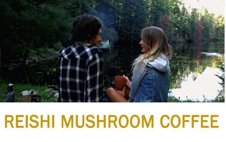 Experience Reishi Mushroom Coffee Superfood Blend with 7 Medicinal Herbs